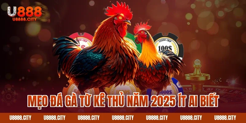 Chiến Thuật Chơi Đá Gà Từ Kê Thủ Hấp Dẫn Năm 2025 Số 1 2 Mẹo đá gà từ kê thủ năm 2025 ít ai biết