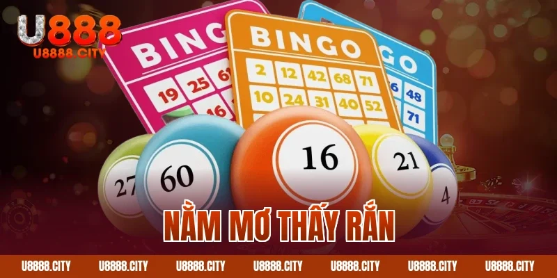 Giải Mã Giấc Mơ Nằm Mơ Thấy Rắn 7 Nằm mơ thấy rắn