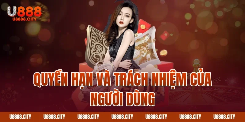 Quyền hạn và trách nhiệm của người dùng