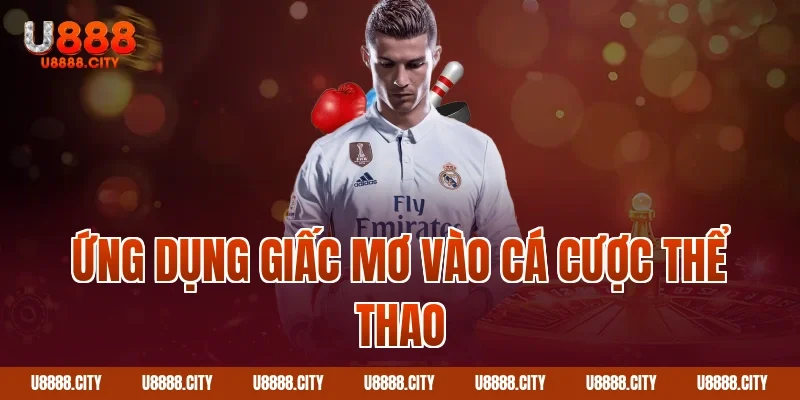 Giải Mã Giấc Mơ Nằm Mơ Thấy Rắn 5 Ứng dụng giấc mơ vào cá cược thể thao